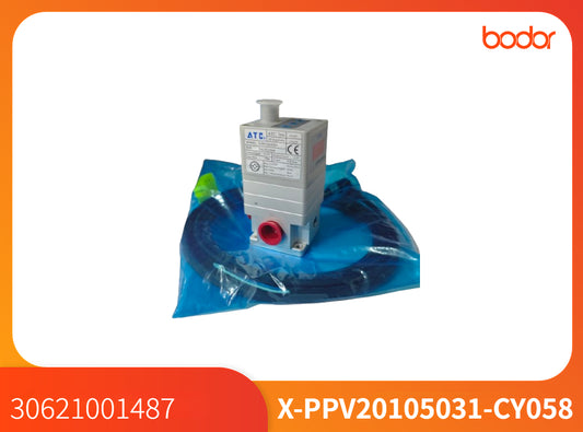 Клапан низкого давления/X-PPV20105031-CY058/30621001487